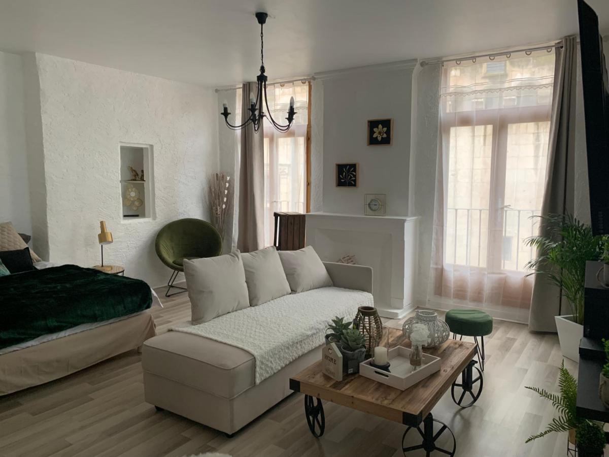 Le Green & Peace Centre Historique, En Face Du Musee Du Pilori, A 2Mn A Pied De L'Hyper Centre Et Proche Toutes Commodites, Wifi-Netflix Νιόρ Εξωτερικό φωτογραφία